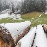 Апартаменты Schwuewong - 13